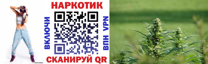 Купить закладку Альфа ПВП  Меф  ГАШИШ  Псилоцибиновые грибы  Cocaine  Камышлов