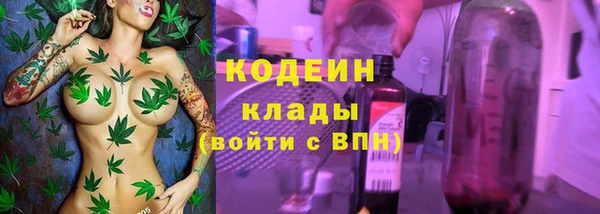 сатива Вяземский