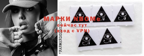 сатива Вяземский