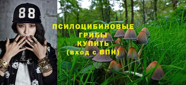 сатива Вязники