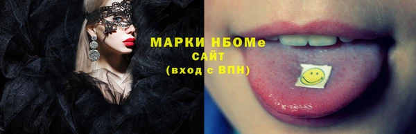 молекула духа Вязьма