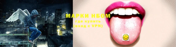 сатива Вязники