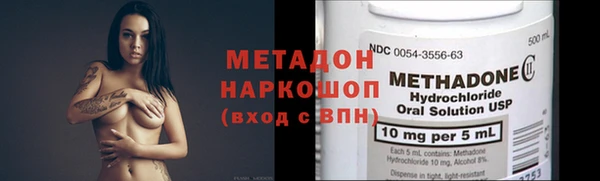 сатива Вяземский
