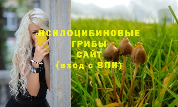 сатива Вяземский