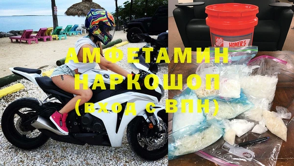 сатива Вяземский