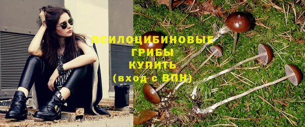 сатива Вязники