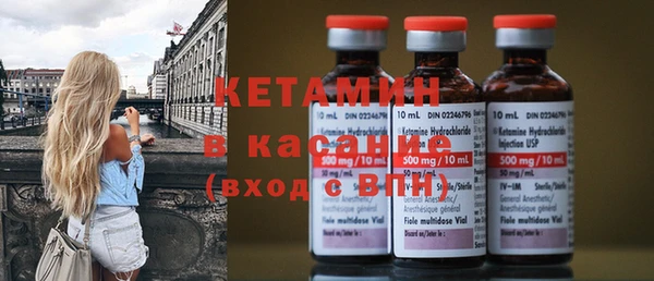 сатива Вяземский