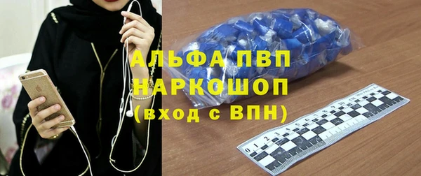 сатива Вяземский